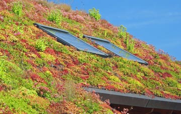 Simonside living roof systems