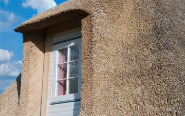 Simonside thatch roof disadvantages